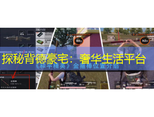 探秘背德豪宅：奢华生活平台