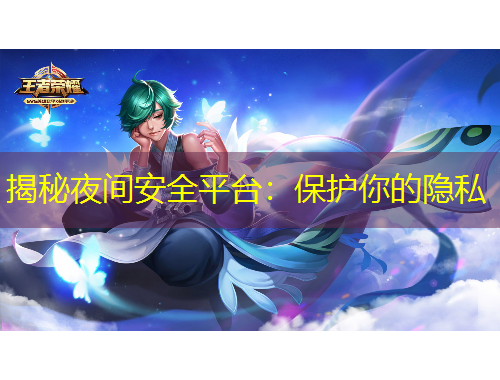 揭秘夜间安全平台：保护你的隐私