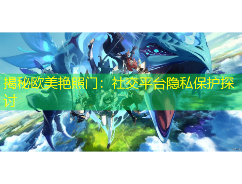 揭秘欧美艳照门：社交平台隐私保护探讨