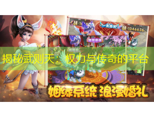 揭秘武则天：权力与传奇的平台