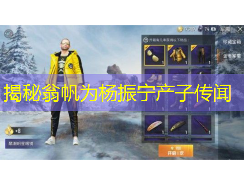 揭秘翁帆为杨振宁产子传闻