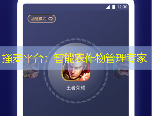 搔麦平台：智能农作物管理专家