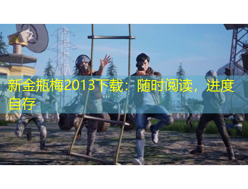 新金瓶梅2013下载：随时阅读，进度自存
