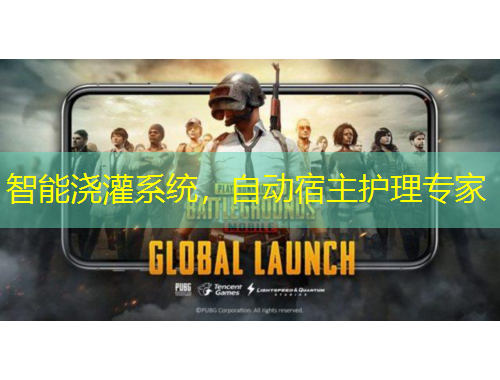 智能浇灌系统，自动宿主护理专家