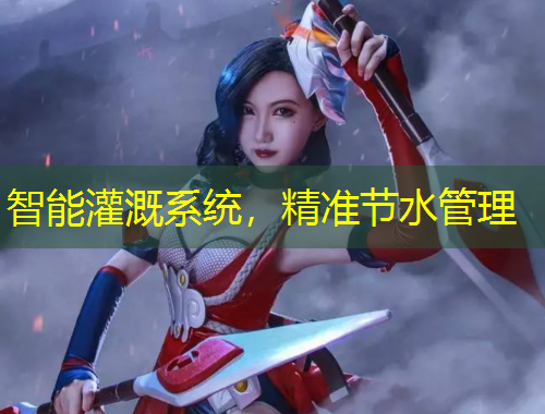 智能灌溉系统，精准节水管理