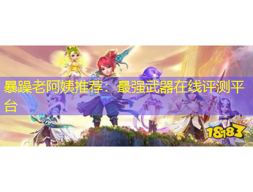 暴躁老阿姨推荐：最强武器在线评测平台