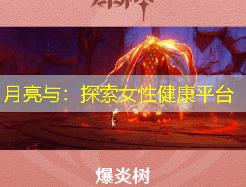 月亮与：探索女性健康平台