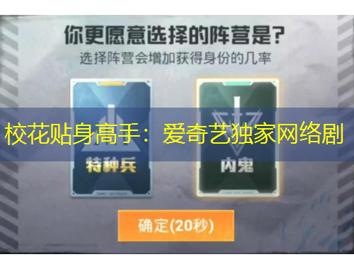 校花贴身高手：爱奇艺独家网络剧