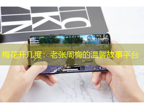 梅花开几度：老张周梅的温馨故事平台