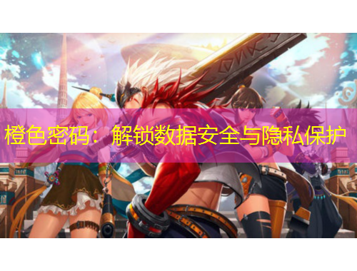 橙色密码：解锁数据安全与隐私保护