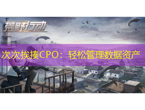 次次挨揍CPO：轻松管理数据资产