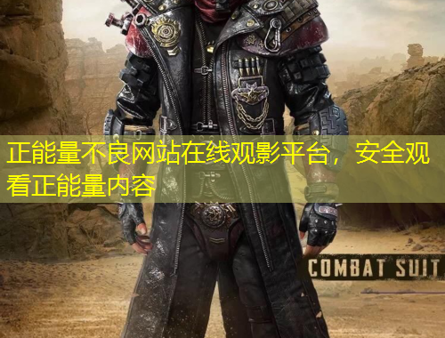 正能量不良网站在线观影平台，安全观看正能量内容