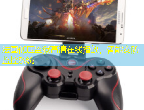 法国低压监狱高清在线播放,智能安防监控系统