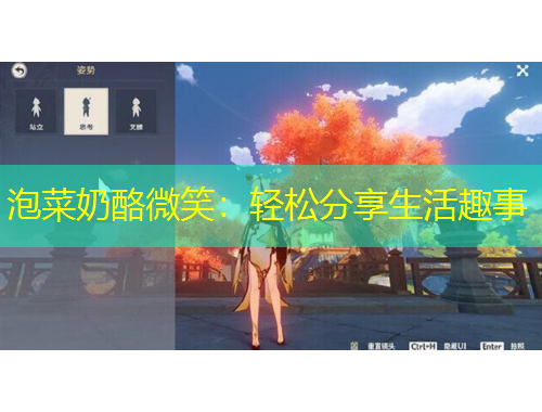 泡菜奶酪微笑：轻松分享生活趣事