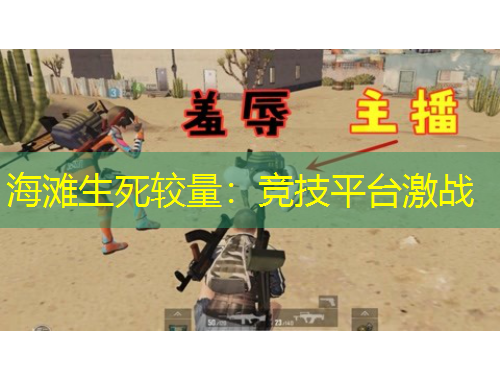 海滩生死较量:竞技平台激战