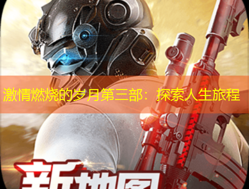 激情燃烧的岁月第三部：探索人生旅程