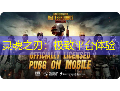 灵魂之刃：极致平台体验