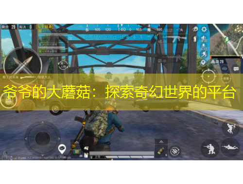 爷爷的大蘑菇:探索奇幻世界的平台