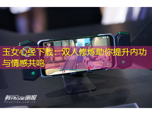 玉女心经下载：双人修炼助你提升内功与情感共鸣