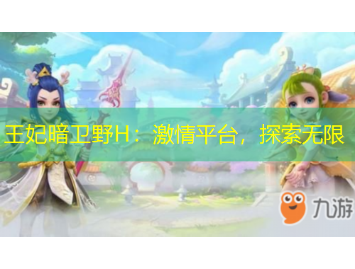 王妃暗卫野H：激情平台，探索无限