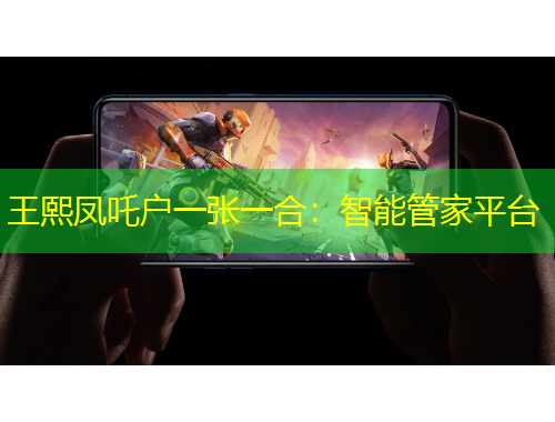 王熙凤吒户一张一合：智能管家平台