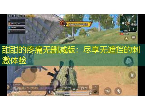 甜甜的疼痛无删减版：尽享无遮挡的刺激体验