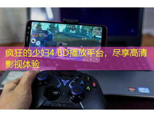 疯狂的少妇4 BD播放平台，尽享高清影视体验