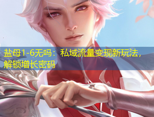 盐母1-6无吗：私域流量变现新玩法，解锁增长密码