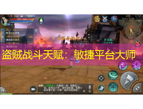 盗贼战斗天赋：敏捷平台大师