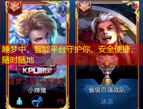 睡梦中，智能平台守护你，安全便捷，随时随地
