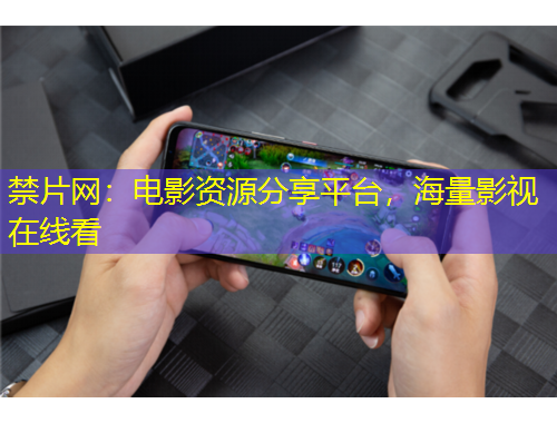 禁片网：电影资源分享平台，海量影视在线看