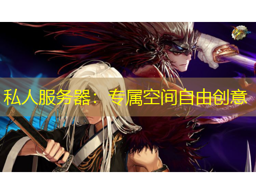 私人服务器：专属空间自由创意