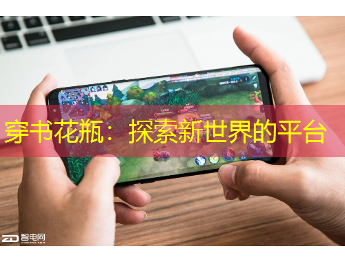 穿书花瓶：探索新世界的平台