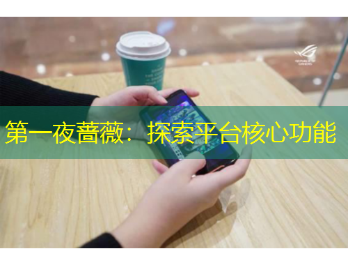 第一夜蔷薇:探索平台核心功能