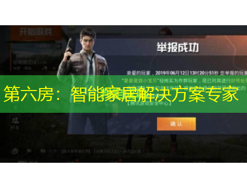 第六房：智能家居解决方案专家