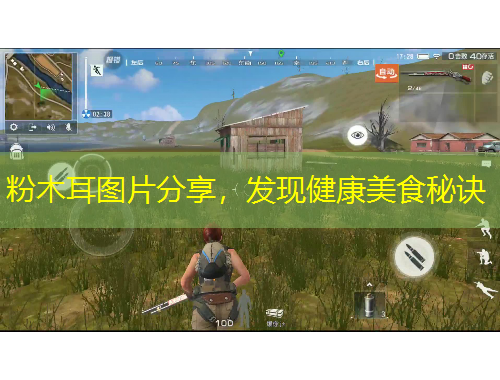 粉木耳图片分享，发现健康美食秘诀