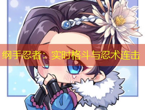 纲手忍者：实时格斗与忍术连击