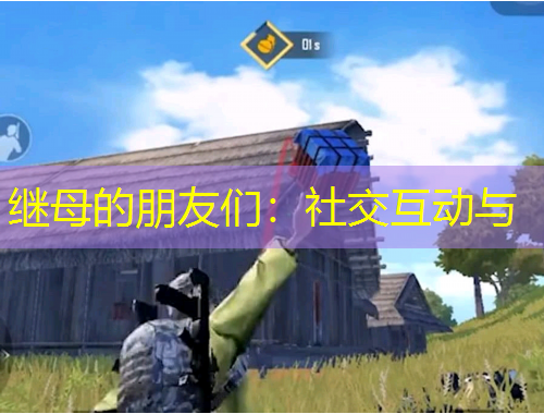 继母的朋友们：社交互动与