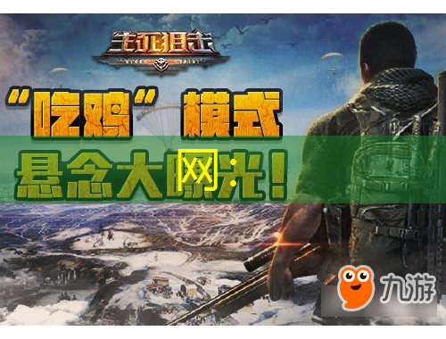 网：
