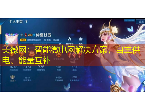 美微网：智能微电网解决方案，自主供电、能量互补