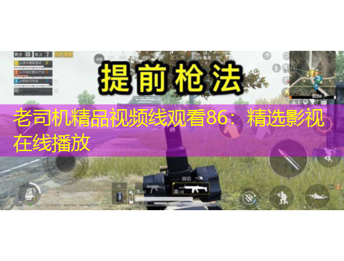 老司机精品视频线观看86：精选影视在线播放