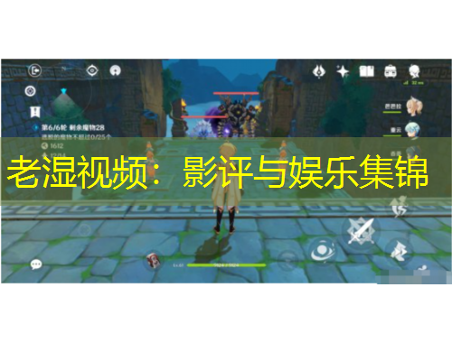 老湿视频：影评与娱乐集锦