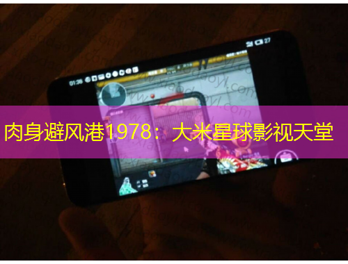 肉身避风港1978：大米星球影视天堂