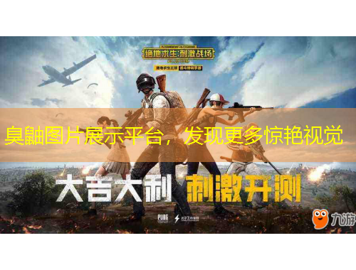 臭鼬图片展示平台，发现更多惊艳视觉
