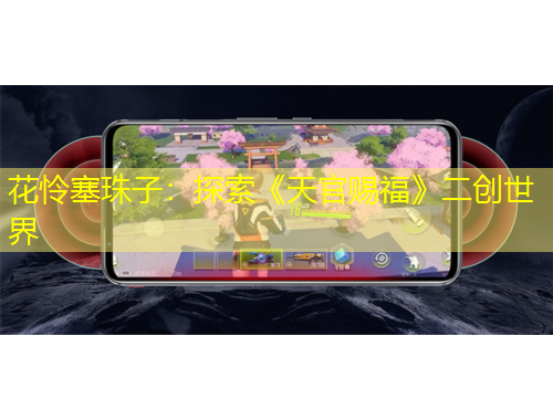 花怜塞珠子：探索《天官赐福》二创世界