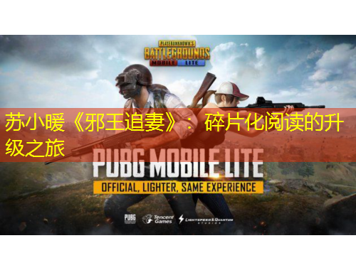 苏小暖《邪王追妻》:碎片化阅读的升级之旅