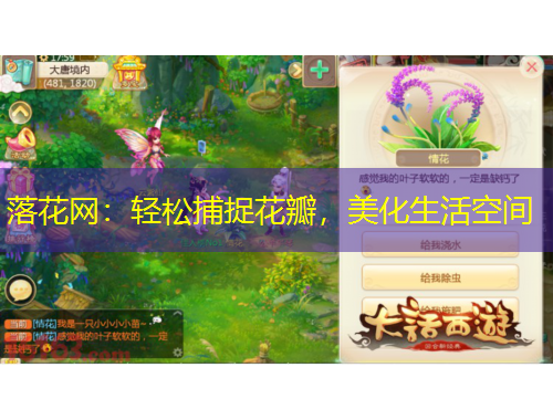 落花网:轻松捕捉花瓣,美化生活空间