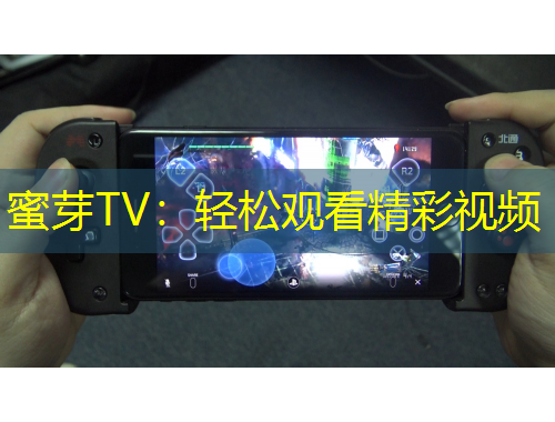 蜜芽TV：轻松观看精彩视频