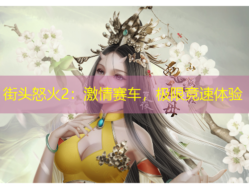 街头怒火2：激情赛车，极限竞速体验