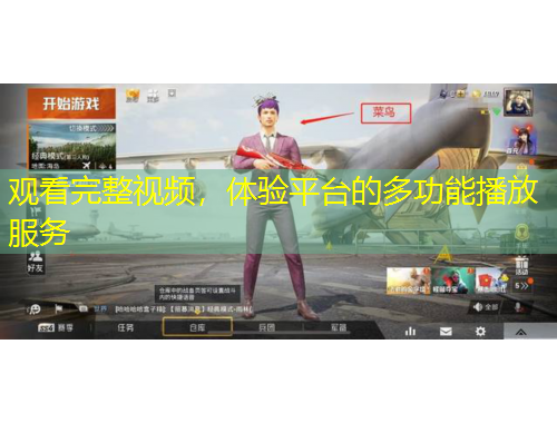 观看完整视频，体验平台的多功能播放服务